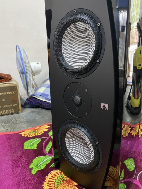 XTZ Divine 100.33 Bookshelf Speaker with Divine Floor Stand Used Hifi