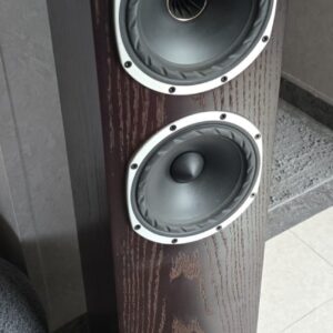 Fyne Audio F501 Tower Speakers