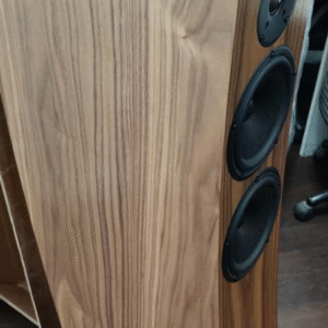 Pylon Audio Jasper 25 MKII Active - Wireless Floorstanding Speakers (Pair)